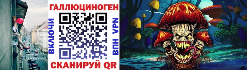 hydra ссылки  Кадников  Галлюциногенные грибы Cubensis 